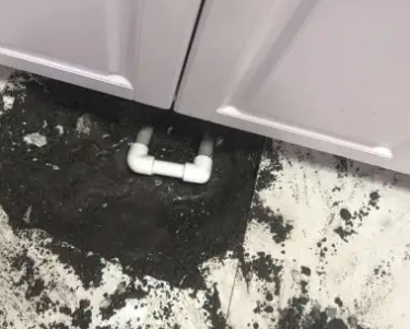 寿宁查漏水哪家好